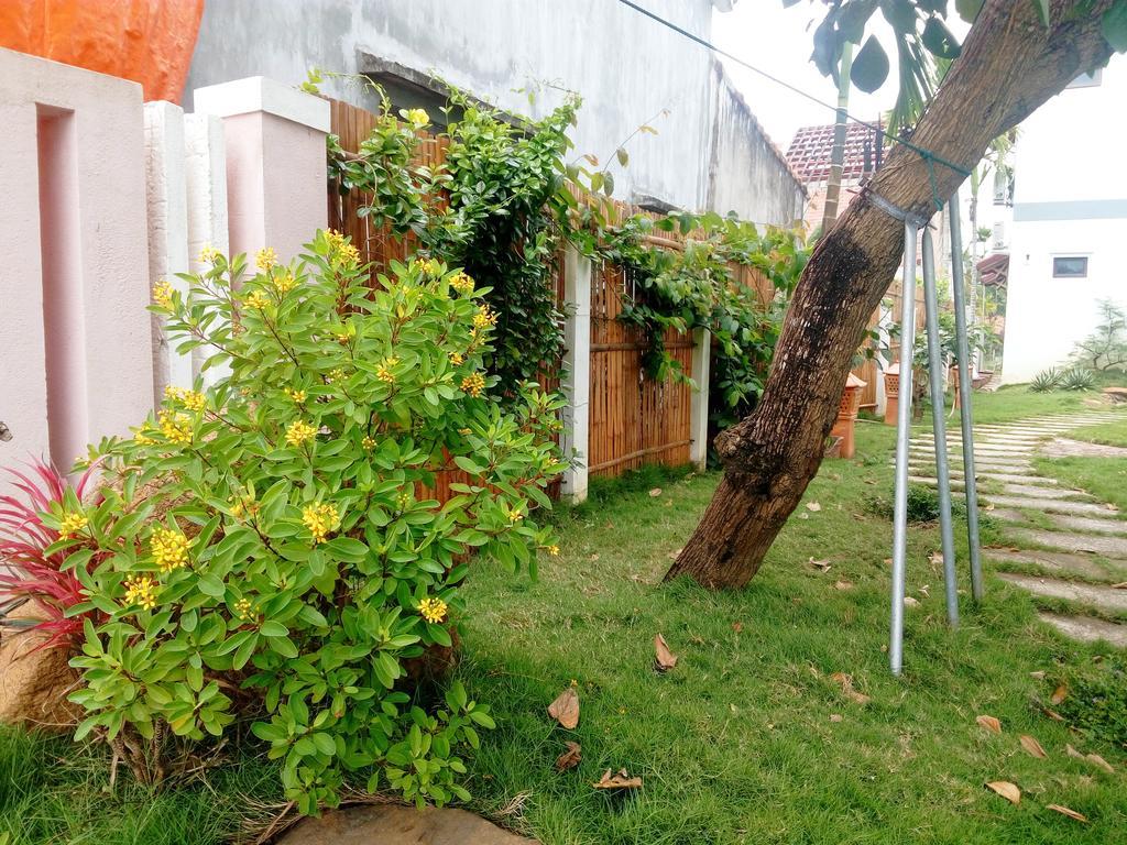 The Field Homestay هوي ان المظهر الخارجي الصورة