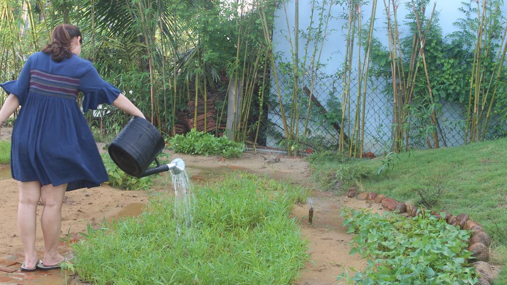 The Field Homestay هوي ان المظهر الخارجي الصورة