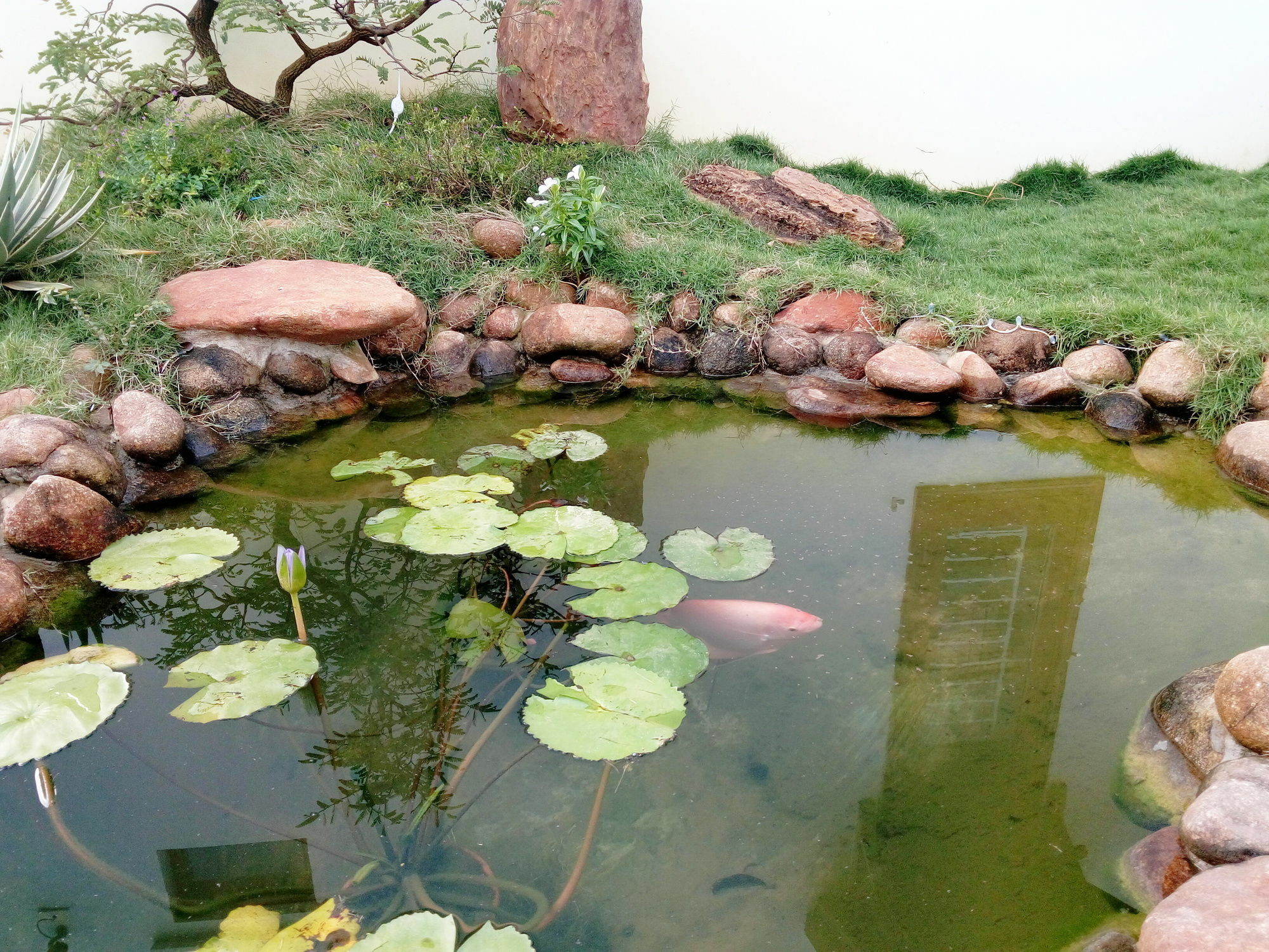 The Field Homestay هوي ان المظهر الخارجي الصورة