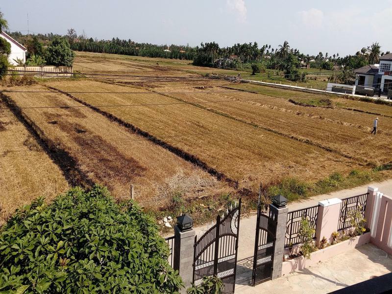 The Field Homestay هوي ان المظهر الخارجي الصورة