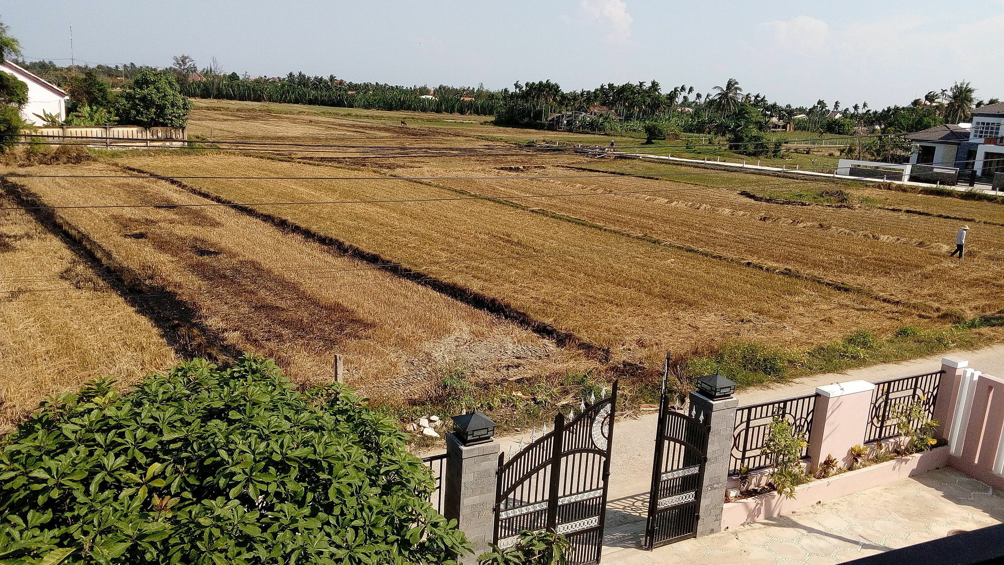 The Field Homestay هوي ان المظهر الخارجي الصورة
